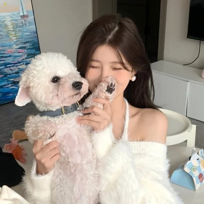 吉姆·加菲根:喜剧怪兽